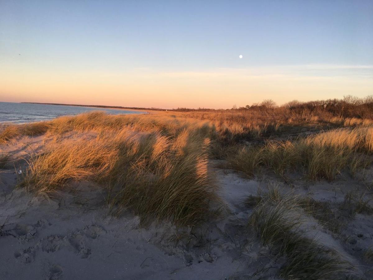 Fewo Sonnenblume Achtern Diek Zingst Exterior photo