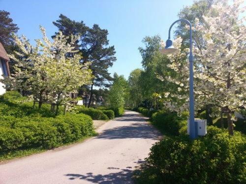 Fewo Sonnenblume Achtern Diek Zingst Exterior photo